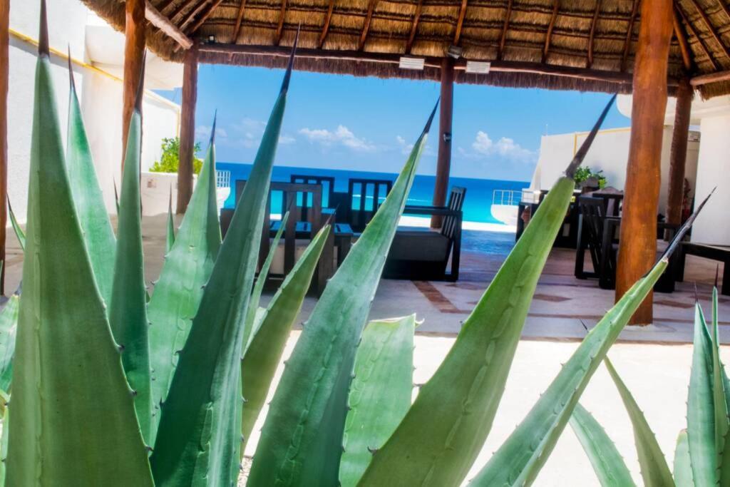 Villas Marlin 108, A Pie De Playa, Albercas, Jacuzi, Ubicacion Inmejorable Cancún Esterno foto