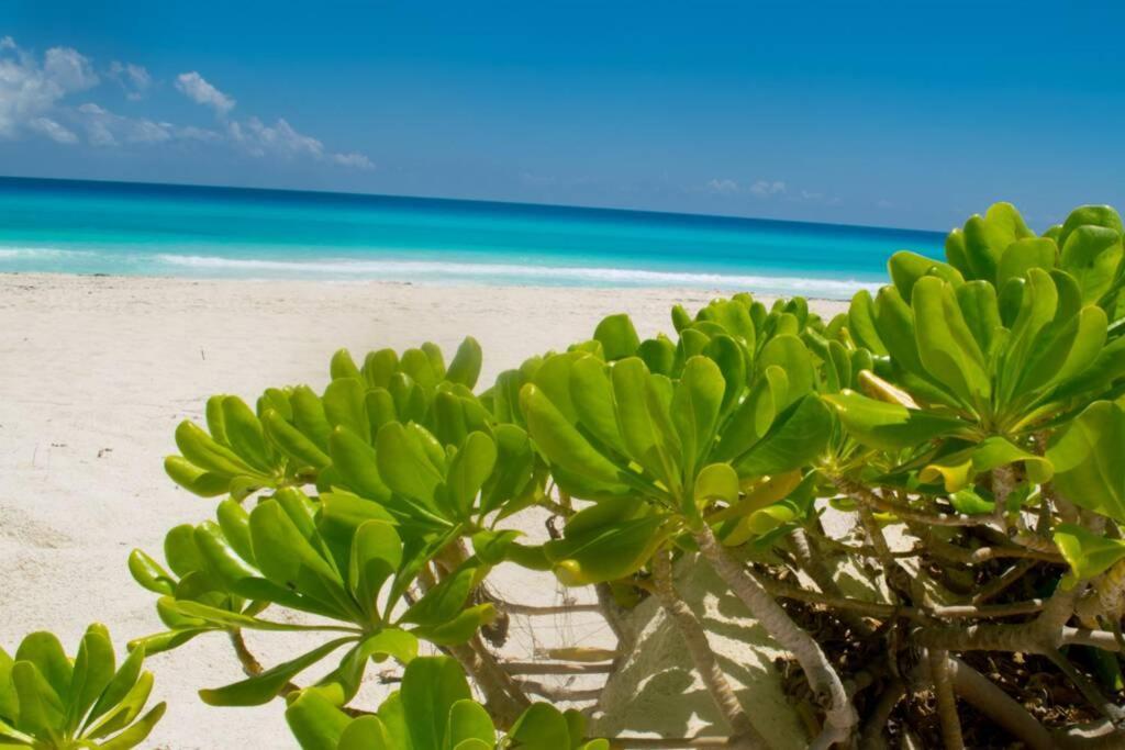 Villas Marlin 108, A Pie De Playa, Albercas, Jacuzi, Ubicacion Inmejorable Cancún Esterno foto